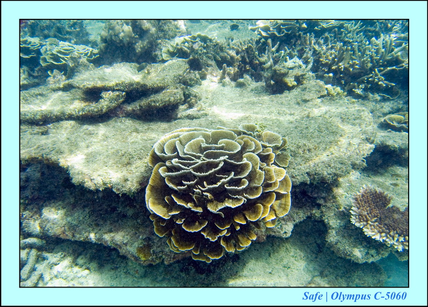 2008 - 07 - Redang - 013